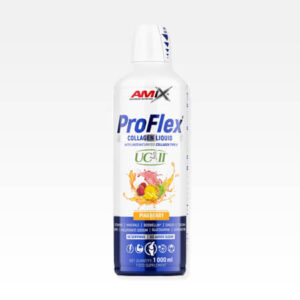 Pro Flex Tečni Kolagen+Glukozamin+MSM 1000ml PINEBERRY